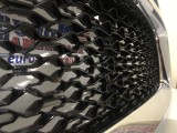 Front Bumper Mesh Grille (Chrome, Rebel Style)